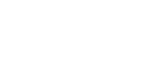 globalinvestorssolution